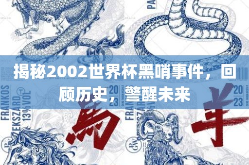 揭秘2002世界杯黑哨事件，回顾历史，警醒未来