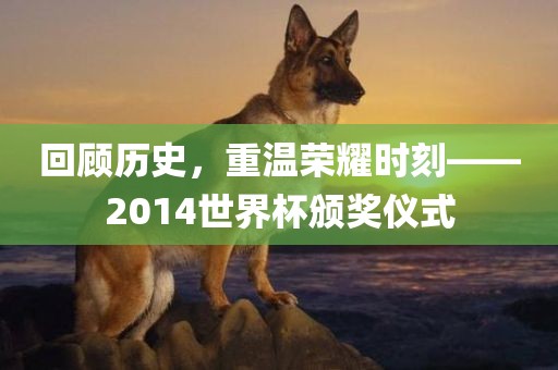 回顾历史，重温荣耀时刻——2014世界杯颁奖仪式