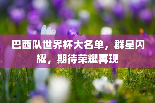 巴西队世界杯大名单，群星闪耀，期待荣耀再现