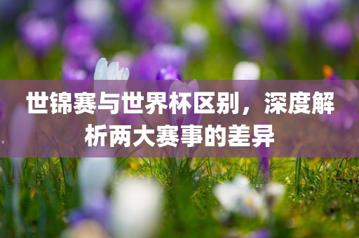 世锦赛与世界杯区别，深度解析两大赛事的差异漯河市盈旭机械设备有限公司