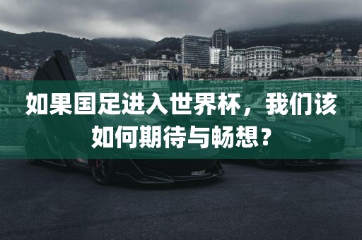 如果国足进入世界杯，我们该如何期待与畅想？