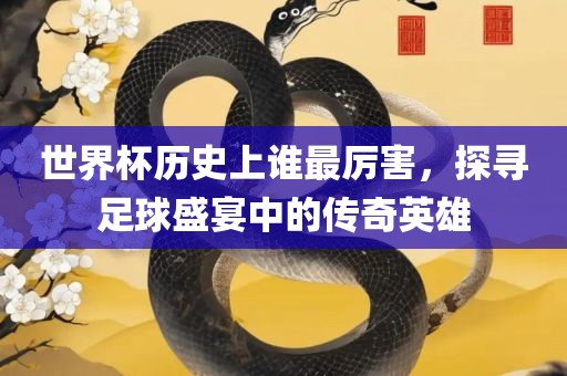 世界杯历史上谁最厉害，探寻足球盛宴中的传奇英雄漯河市盈旭机械设备有限公司