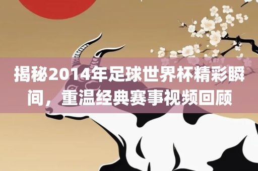 揭秘2014年足球世界杯精彩瞬间，重温经典赛事视频回顾漯河市盈旭机械设备有限公司
