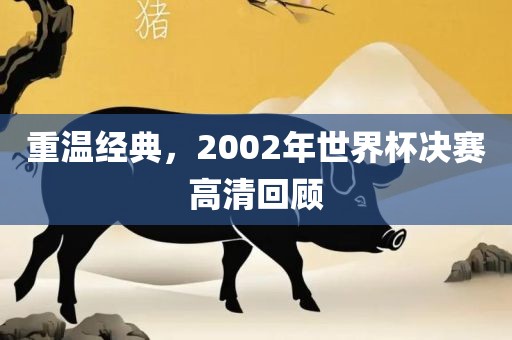 重温经典，2002年世界杯决赛高清回顾漯河市盈旭机械设备有限公司