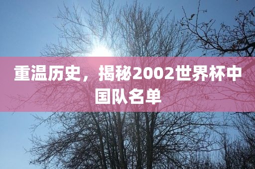 重温历史，揭秘2002世界杯中国队名单