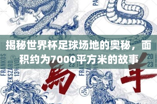 揭秘世界杯足球场地的奥秘，面积约为7000平方米的故事漯河市盈旭机械设备有限公司