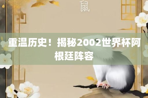 重温历史！揭秘2002世界杯阿根廷阵容漯河市盈旭机械设备有限公司