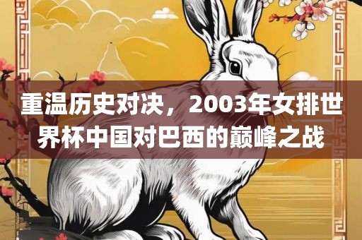 重温历史对决，2003年女排世界杯中国对巴西的巅峰之战漯河市盈旭机械设备有限公司