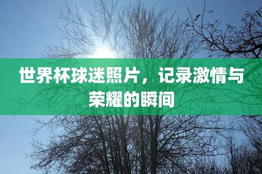世界杯球迷照片，记录激情与荣耀的瞬间