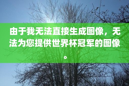 由于我无法直接生成图像，无法为您提供世界杯冠军的图像。漯河市盈旭机械设备有限公司