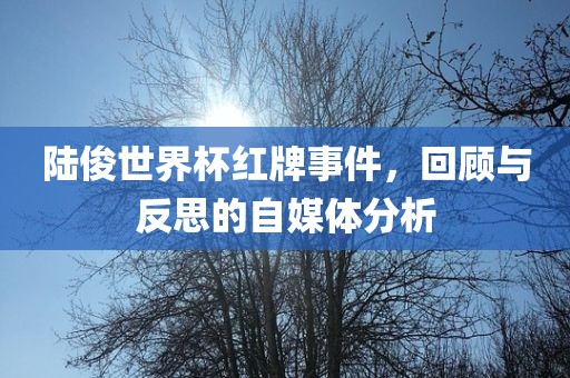 陆俊世界杯红牌事件，回顾与反思的自媒体分析