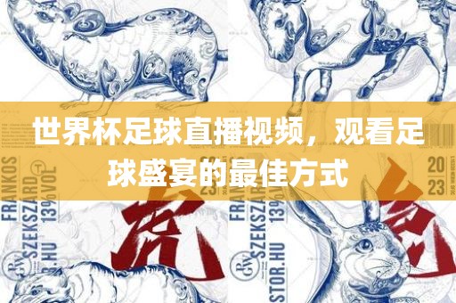 世界杯足球直播视频，观看足球盛宴的最佳方式