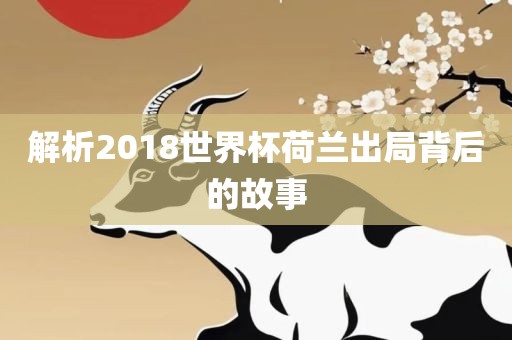 解析2018世界杯荷兰漯河市盈旭机械设备有限公司出局背后的故事