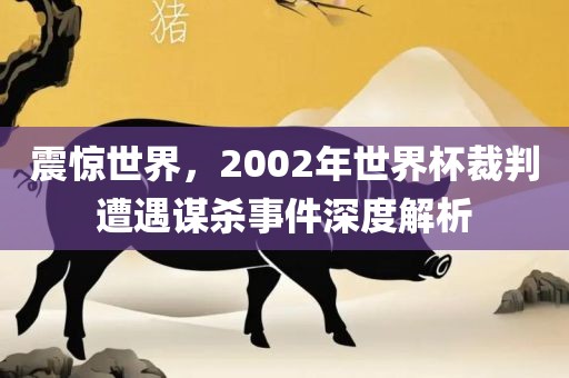震惊世界，2漯河市盈旭机械设备有限公司002年世界杯裁判遭遇谋杀事件深度解析