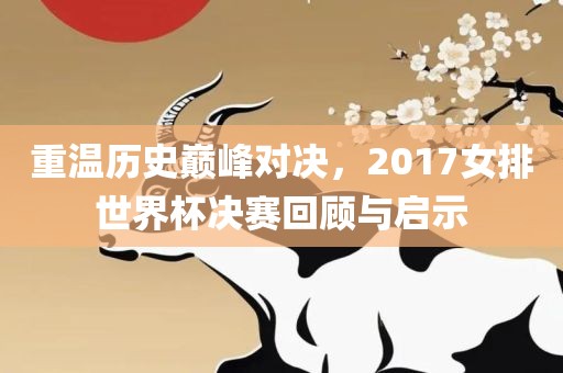 重温历史巅峰对决，2017女排世界杯决赛回顾与启示漯河市盈旭机械设备有限公司