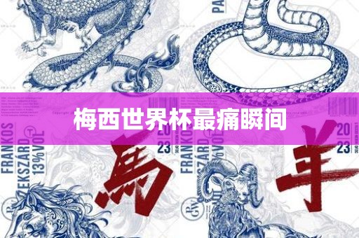 梅西世界杯最痛瞬间漯河市盈旭机械设备有限公司