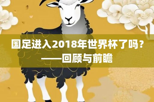 国足进入2018年世界杯了吗？——回顾与前瞻