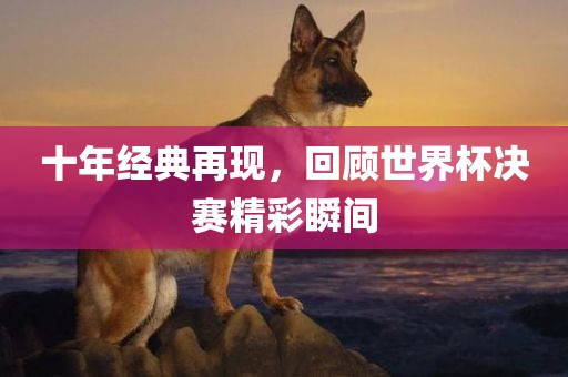 十年经典再现，回顾世界杯决赛漯河市盈旭机械设备有限公司精彩瞬间