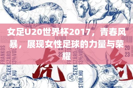 女足U20世界杯2017，青春风暴，展现女性足球的力量与荣耀漯河市盈旭机械设备有限公司
