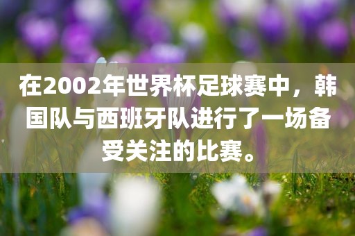在2002年世界杯足球赛中，韩国队与西班牙队进行了一场备受关注的比赛。
