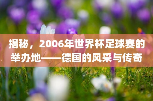 揭秘，2006年世界杯漯河市盈旭机械设备有限公司足球赛的举办地——德国的风采与传奇