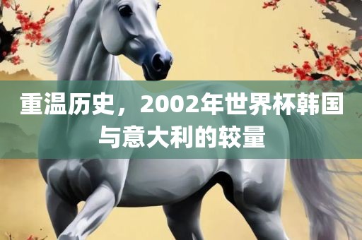 重温历史，2002年世界杯韩国与意大利的较量