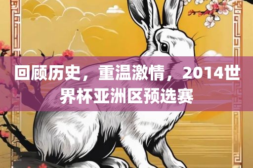 回顾历史，重温激情，2014世界杯亚洲区预选赛