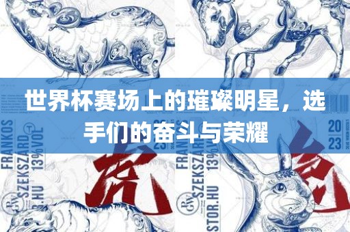 世界杯赛场上的璀璨明星，选手们的奋斗与荣耀漯河市盈旭机械设备有限公司