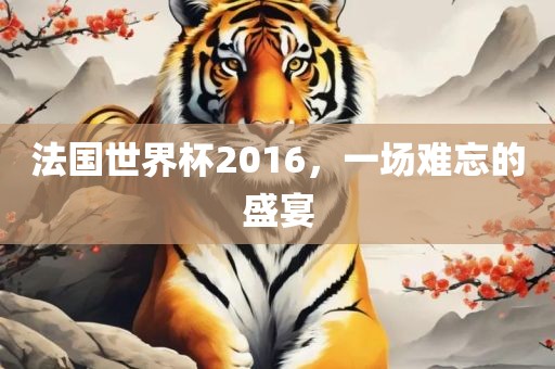 法国世界杯2016，一场难忘的盛宴