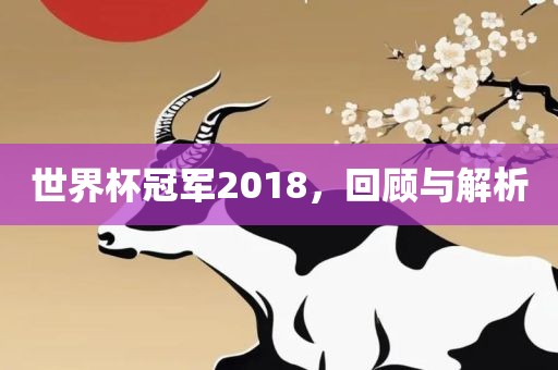 世界杯冠军2018，回顾与解析
