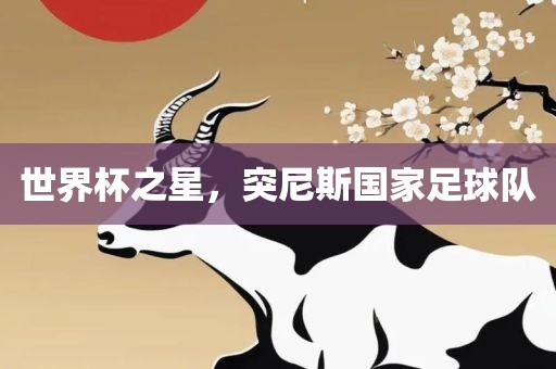 世界杯之星，突尼斯国家足球队