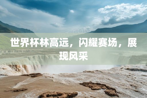 世界杯林高远，闪耀赛场，展现风采漯河市盈旭机械设备有限公司