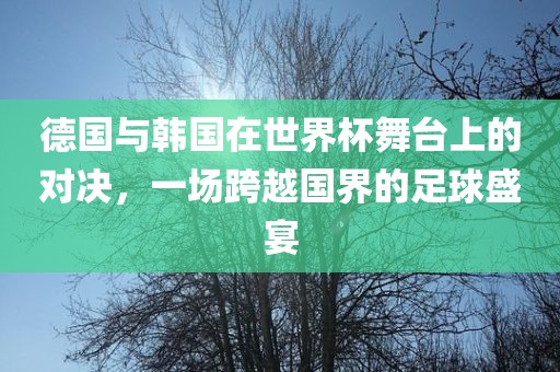 德国与韩国在世界杯舞台上的对决，一场跨越国漯河市盈旭机械设备有限公司界的足球盛宴