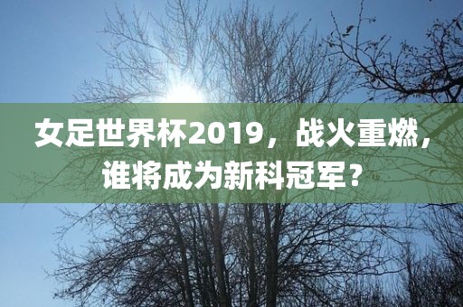 女足世界杯2019，战火重燃，谁将成为新科冠军？漯河市盈旭机械设备有限公司