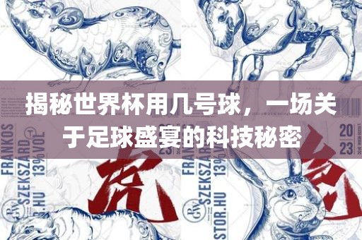 揭秘世界杯用几号球，一场关于足球盛宴的科技秘密