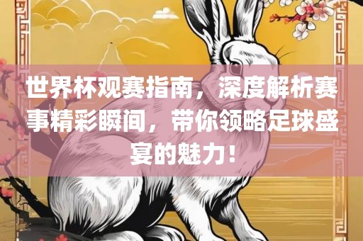 世界杯观赛指南，深度解析赛事精彩瞬间，带你领略足球盛宴的魅力！漯河市盈旭机械设备有限公司