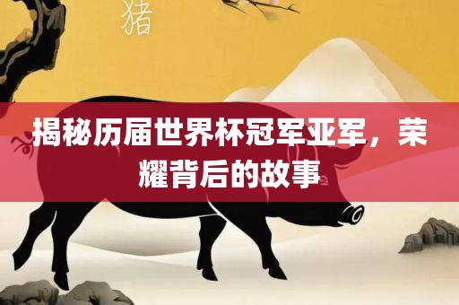 揭秘历届世界杯冠军亚军，荣耀背后的故事