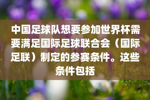 中国足球队想要参加世界杯需要满足国际足球联合会（国际足联）制定的参赛条件。这些条件包括