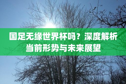 国足无缘世界杯吗？深度解析当前形势与未来展望