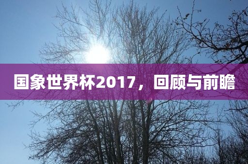 国象世界杯2017，回顾与前瞻漯河市盈旭机械设备有限公司
