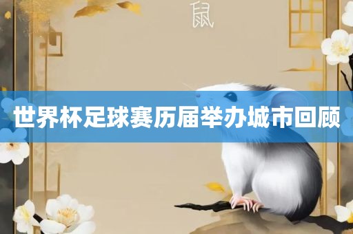 世界杯足球赛 第4页