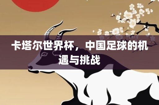 卡塔尔世界杯，中国足球的机遇与挑战