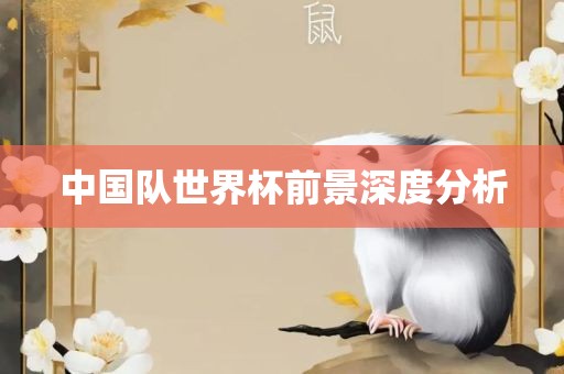 中国队世界杯前景深度分析