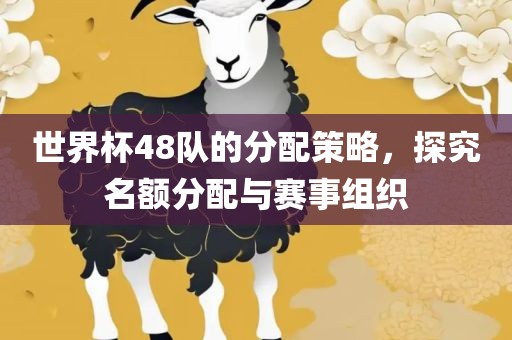 世界杯48队的分配策略，探究名额分配与赛事组织漯河市盈旭机械设备有限公司