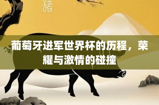 葡萄牙进军世界杯的历程，荣耀与激情的碰漯河市盈旭机械设备有限公司撞