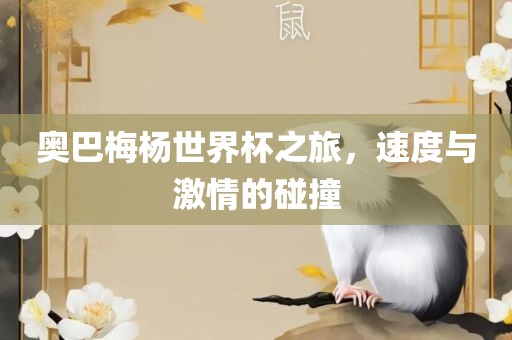 奥巴梅杨世界杯之旅，速度与激情的碰撞