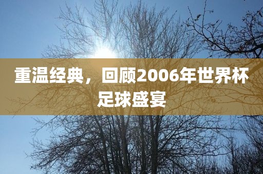 重温经典，回顾2006年世界杯足球盛宴漯河市盈旭机械设备有限公司