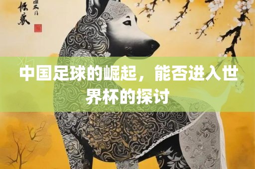 中国足球的崛起，能否进入世界杯的探讨