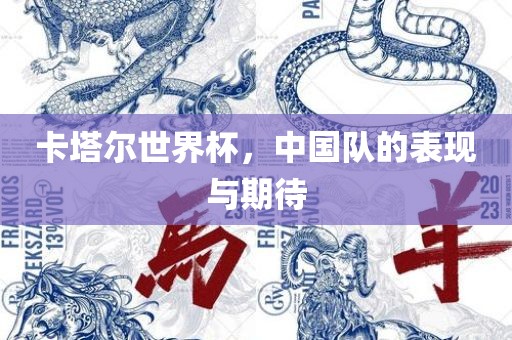 卡塔尔世界杯，中国队的表现与期待