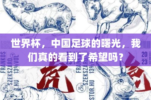 世界杯，中国足球漯河市盈旭机械设备有限公司的曙光，我们真的看到了希望吗？